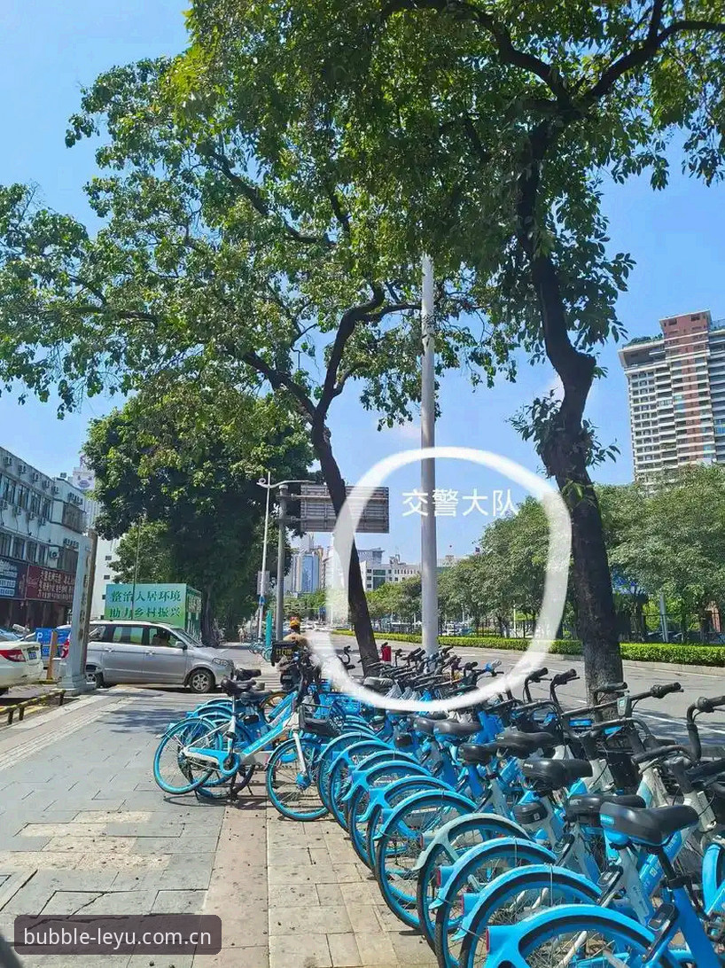 背景：一张罚单背后的行业地震